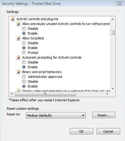 of ActiveX controls and plug-ins to Enable,