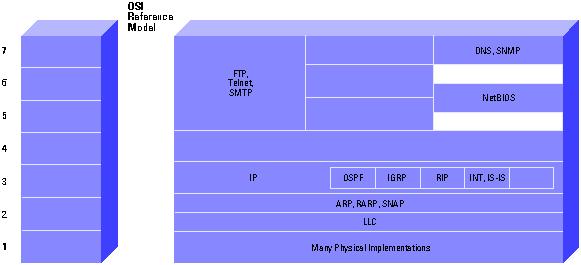Refer to the TCP section of Internet Protocols for more information. IP IP is the primary Layer 3 protocol in the Internet suite.