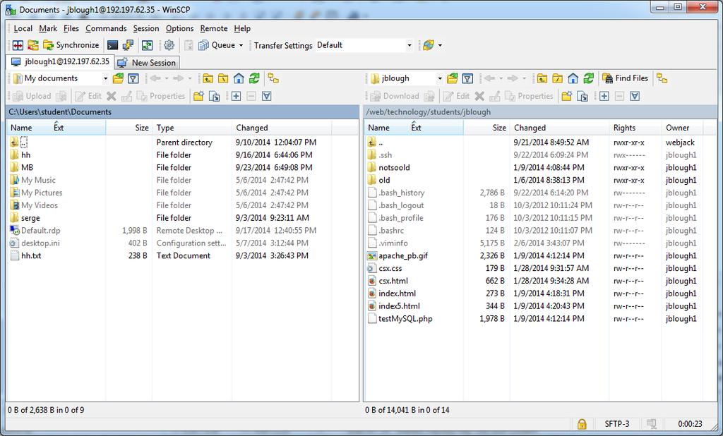 files are shown on the left side, and the remote files are shown on the