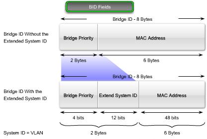 As the switches forward their BPDU frames, adjacent switches read the root ID information from the BPDU frame.