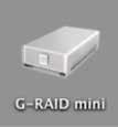 Press Command+V to paste the custom G-RAID mini icon into the Get Info