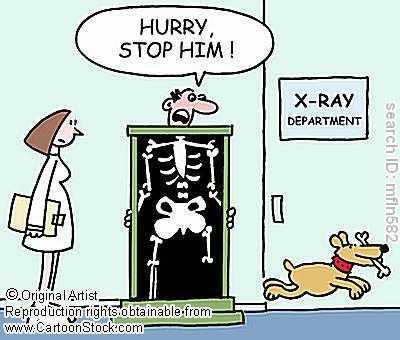 X-rays are