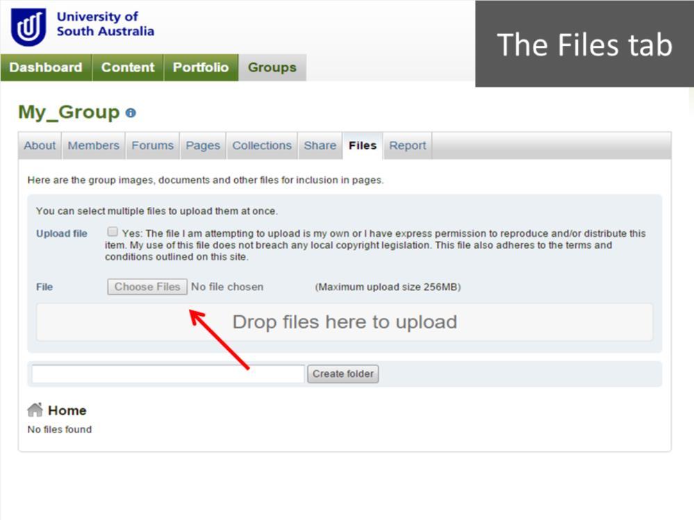 The final tab for your group eportfolio is the Files tab, which will take you to the files repository for the eportfolio.