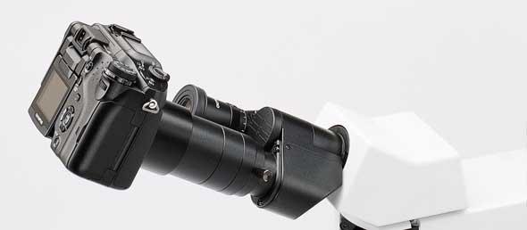 The aperture iris diaphragm with built-in condenser and standard field stop combine to provide bright and even illumination at all levels of magnification.