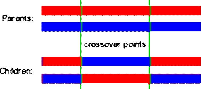 3: Two point crossover Another crossover method is cut and splice, in which each parent individual has a separate choice of crossover point.