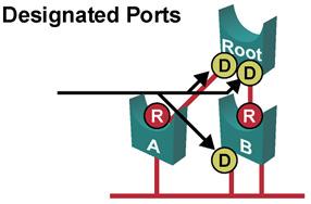 An alternate port receives more useful s from another switch and is a port blocked. Similar to how Cisco UplinkFast works. Backup Port (802.