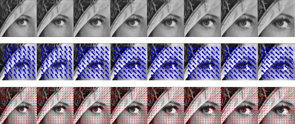 586 IEEE TRANSACTIONS ON CIRCUITS AND SYSTEMS FOR VIDEO TECHNOLOGY, VOL. 17, NO. 5, MAY 2007 Fig. 1. First row: A synthetic sequence from the Lena image where Lena s eye is zoomed in successive frames.