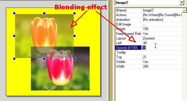 2. The image editor features a wealthy collection of tools for you