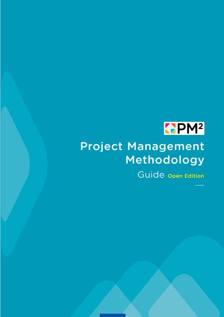 project management maturity within the