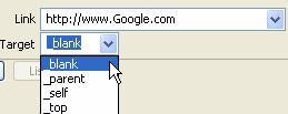 html adresu(url).pr.: http://www.google.