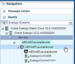 8. In the Navigation pane, under Assets, expand the Server node that you have just