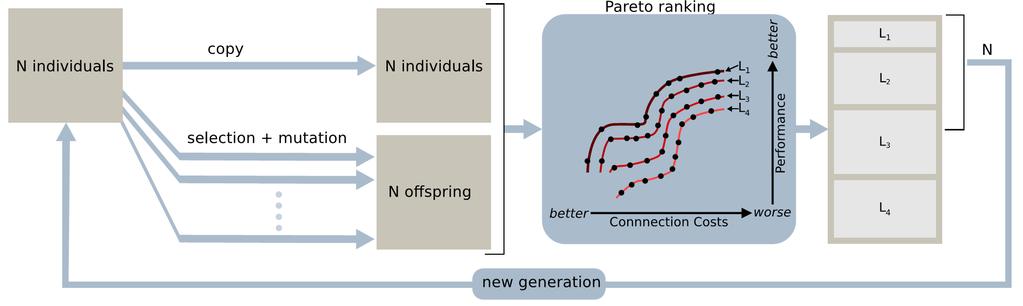 P- CC: Non-dominated Sorting Genetic Algorithm Stochastic Pareto Dominance use CC only 25% of the time 1.