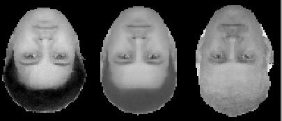 When a new image is presented to our system, facial features are located automatically using Active Shape Model (ASM) search [16,18] based on the flexible shape