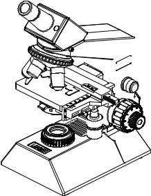 CXL SERIES OF LABOMED MICROSCOPES Has all the features of Standard Laboratory Microscopes.