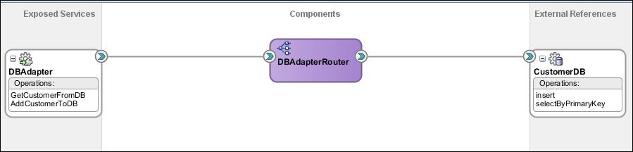 Oracle Adapters for accessing