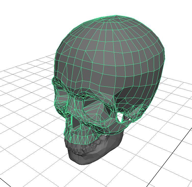 Examples Mesh processing