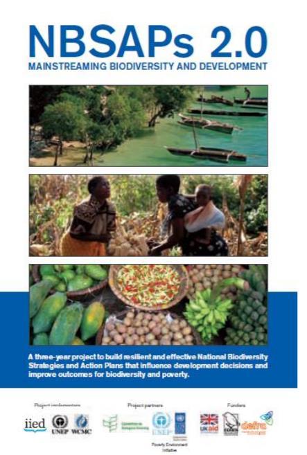 Phase 1: Getting development into biodiversity 2012 2015 Implemented by IIED and UNEP- WCMC Funded by UK Darwin Initiative, DFID, GEF and EU Supported by CBD,