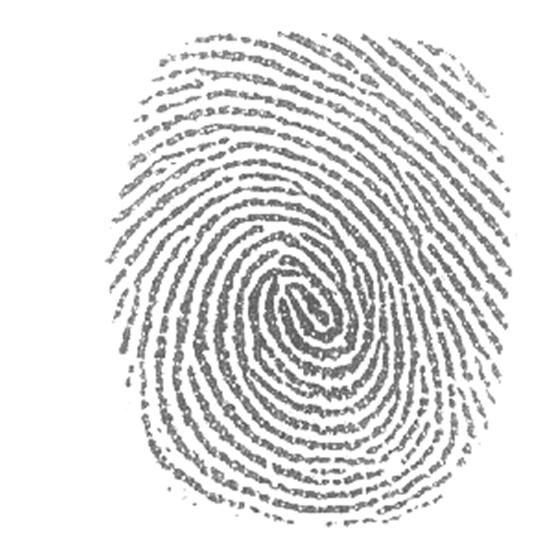 Side-Channel Hill-Climbing Attack to Fingerprint Biometrics (Time Attack) J. Galbally, S. Carballo, J.