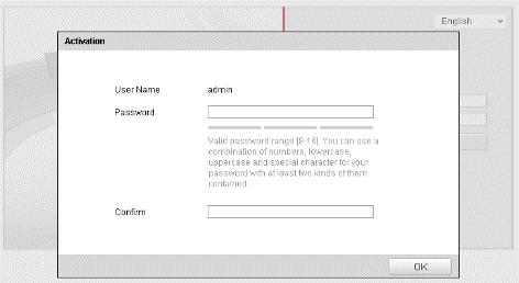 Activation Interface(Web) 3. Create a password and input the password into the password field.