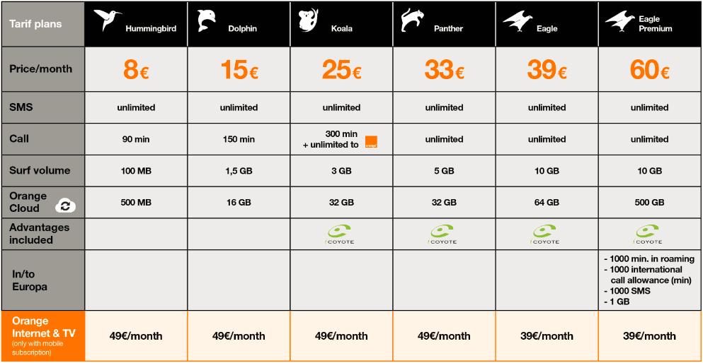 New simplified Animal portfolio Clear focus on customer experience, convergence and mobile data monetization 15 Orange Belgium FY 2016 Financial results The following roaming-options can be