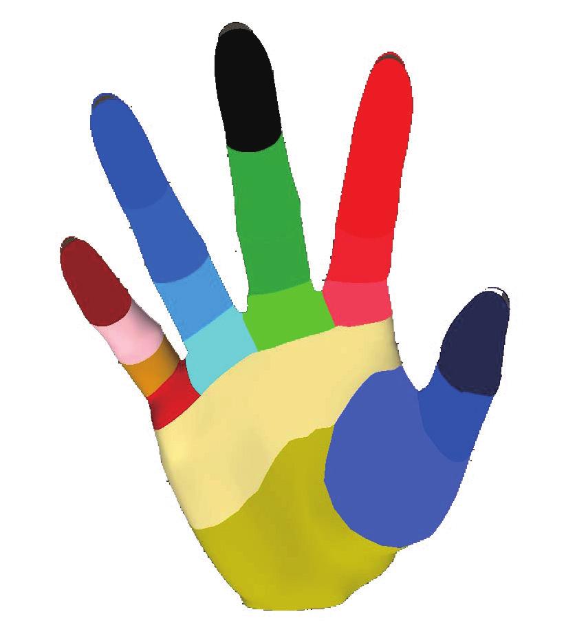 Hand part classification using single depth images 3 label as different color. Every finger has four parts except thumb with three part.
