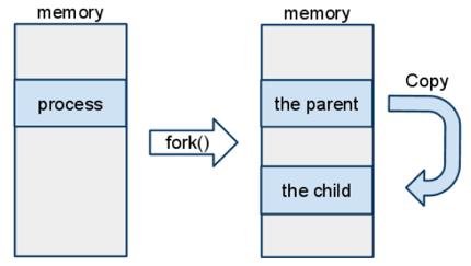 prev 5 next CITS2002 CITS2002 schedule Memory in Parent and Child Processes The (existing) parent process and the (new) child process continue their own execution.