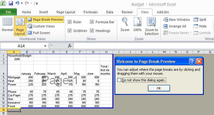 Use the following procedure to view the Page Break Preview. 1. Select the View tab.