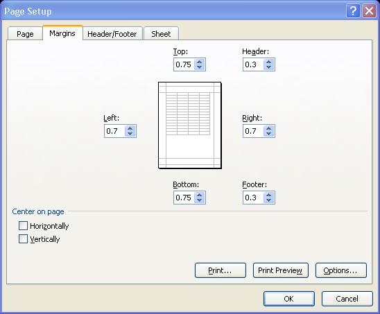 Excel displays the Page Setup dialog box. 2.
