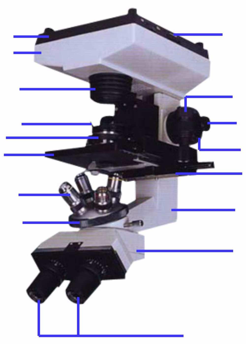 The Microscope Label the parts of