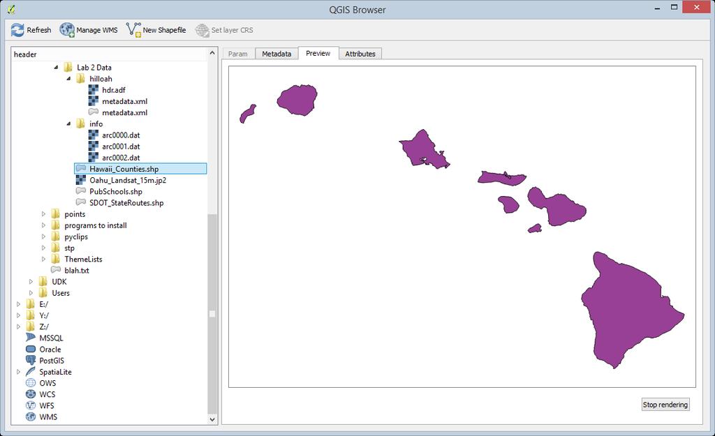 Preview in QGIS Browser 6. Click on the Attributes tab. This shows you the other component of the data model, the attributes.