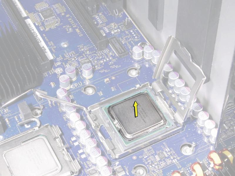 Important: When removing or installing a processor, always hold the processor by the edges.
