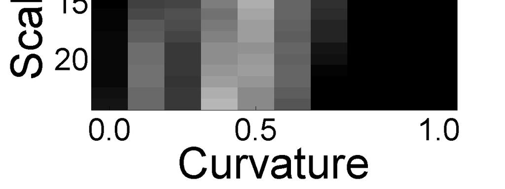 Examples of curvature descriptors