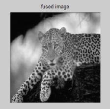 Table: Evalution of the multi-focus image fusion results MEDICAL IMAGE FUSION: wavelets