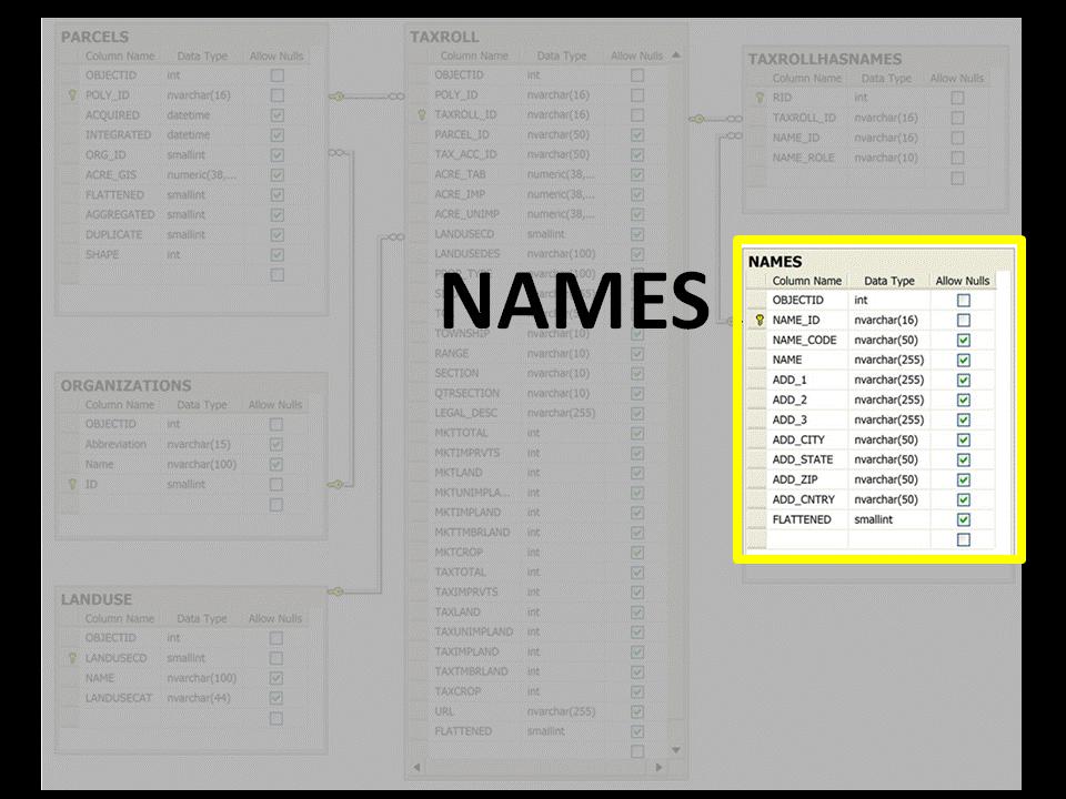 18. The NAMES Table 13 The NAMES table includes the name and addresses of the owners and/or taxpayers associated with each record in the TAXROLL table.