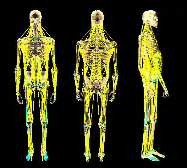 (2) Results and their importance In this research, we developed the following methods and systems: Parallel efficient dynamics computation of human figures: This method not only serves as the basis
