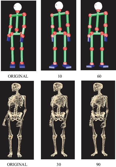 Figure 14: Mapping from human figure to musculoskeletal model The extension to musculoskeletal human model would have applications beyond humanoids.