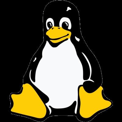 Embedded Operating Systems (2) Linux long startup time (5..10s), very complex, no RTOS, separation kernel/userspace (only) some experience, firewire driver?