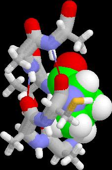 protein as alpha-helix, beta-sheet, or random coil