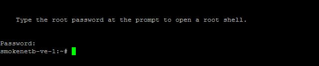 The root shell prompt appears. 4.