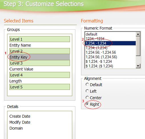 USING THE ER/STUDIO ENTERPRISE PORTAL > REPORTS 5 You can also set sort orders for column. In either the Groups or Details areas, select the item you want to set sort orders for.