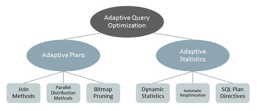 Adaptive Query Optimization By far the biggest change to the optimizer in Oracle Database 12c is Adaptive Query Optimization.