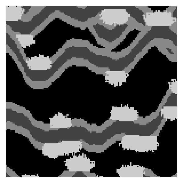 mud background sand channel levee crevasse training image 0.45 0.20 0.20 0.15 SNESIM realization 0.