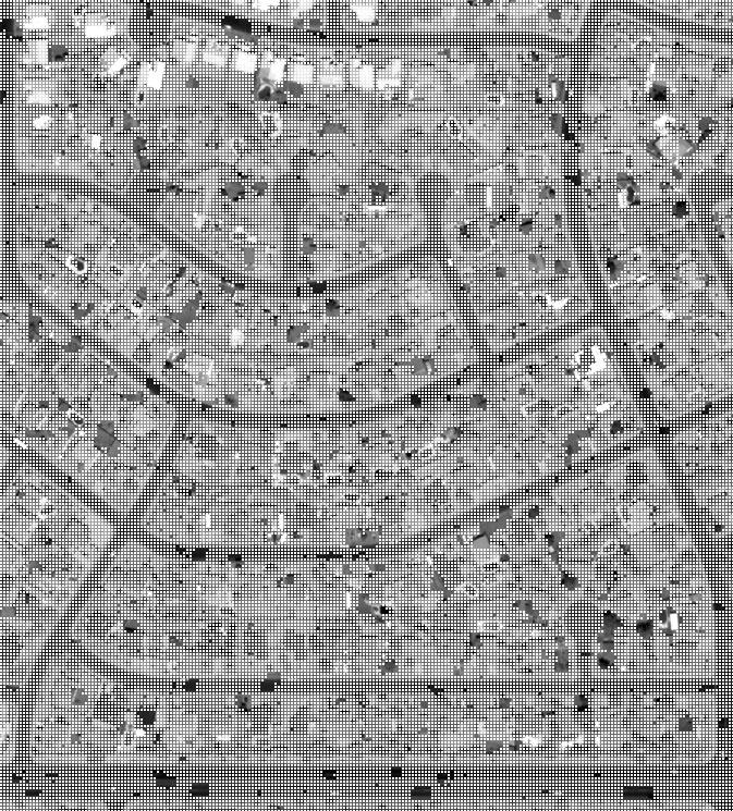 From the area of Phoenix, Arizona some QuickBird images have been used for the analysis of automatic matching in the city area.