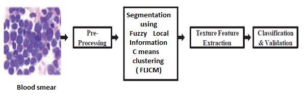 III. METHODOLOGY In this paper cost effective and robust automated system for leukemia screening is developed.