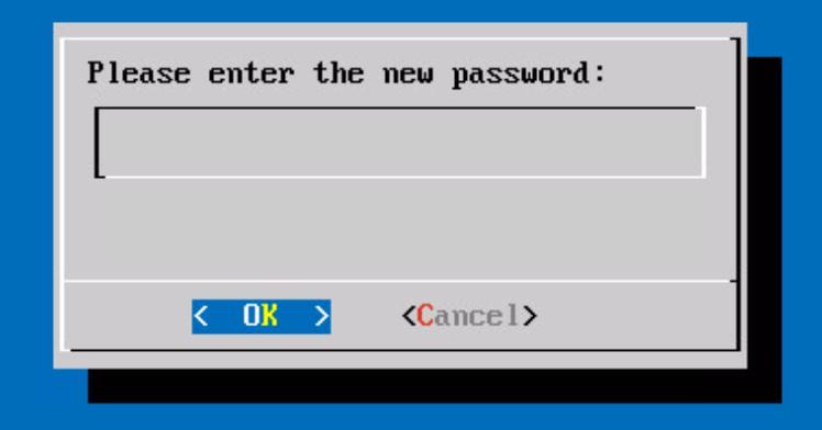 4 Configuring the Virtual Appliance After successful deployment, open the Virtual Appliance's console (from the VMware GUI) and set a new password.