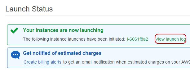 4. Click Launch Instances. AWS will boot this instance. A message will show up when the instance is launched successfully. You may click View launch log to see the launching process logs. 5.