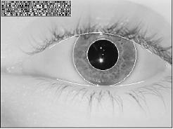Biometrics: Iris Feature extraction from the iris