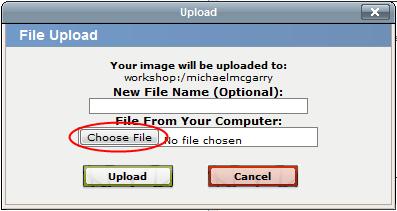 c. Click Choose File then locate the file you want to upload and click Open. Note: EchoCI does not accept file names containing capital letters or special characters.