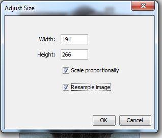 When this button is clicked, an Adjust Size box will pop-up and you can resize your picture by changing the values in Width and Height.