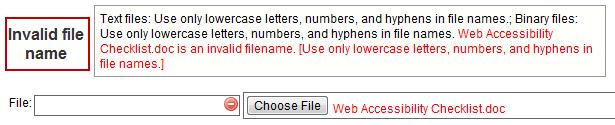 7. You may receive a message saying Your-File.doc is an invalid filename. EchoCI only allows lowercase letters, numbers and hyphens. If this is the case, enter a new file name in the File field 8.